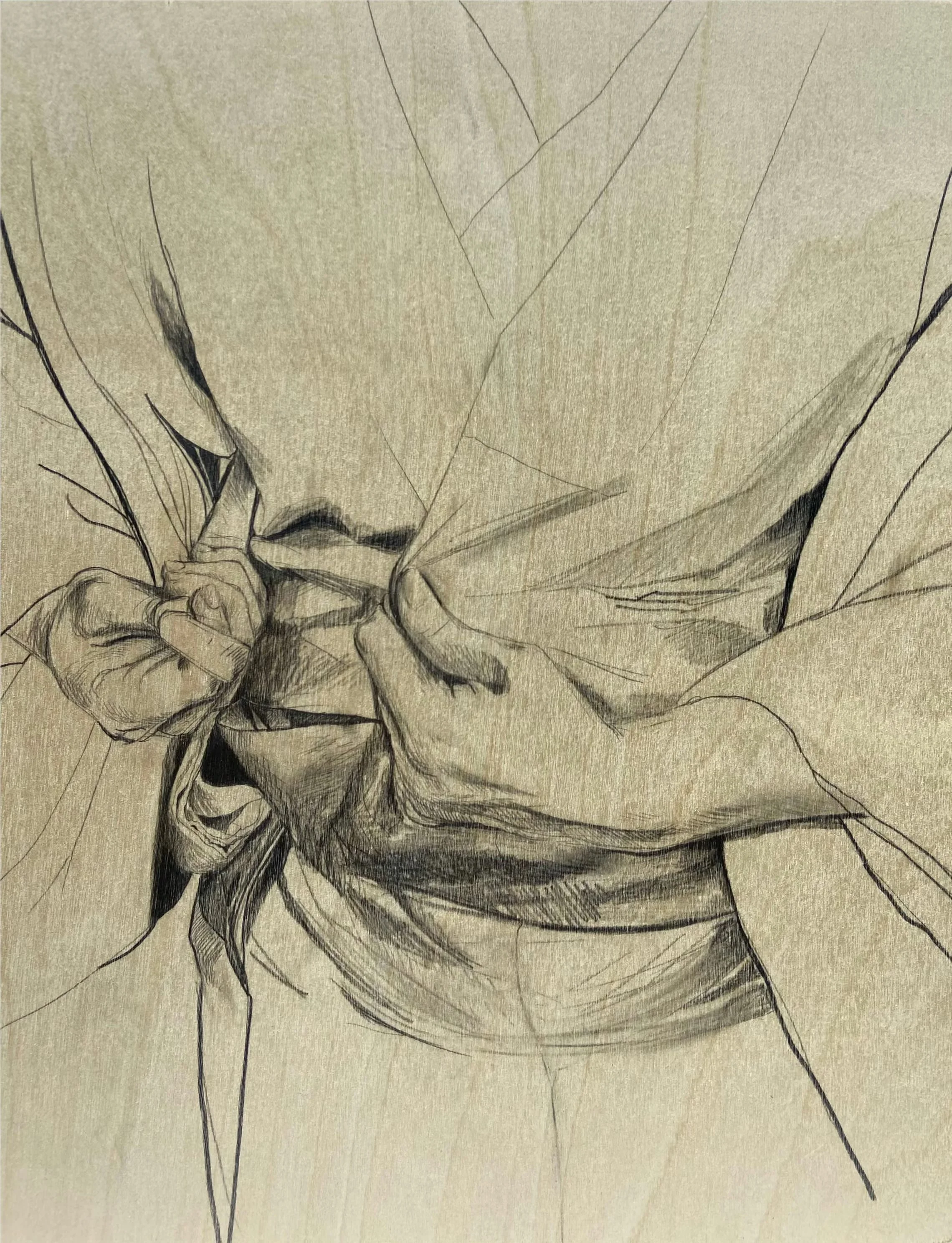 Ellen Bird, Dressing the Afternoon, 2024, graphite on birch board 