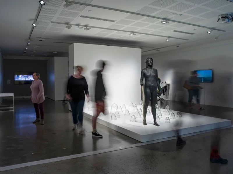 Nell, A white bird flies in the mist, a black bird flies in the night, a woman walks, wild and free, she is not afraid to die, 2008, bronze, mother of pearl, resin, 33 individually hand-blown clear glass ghost sculptures. Installation view, Lismore R
