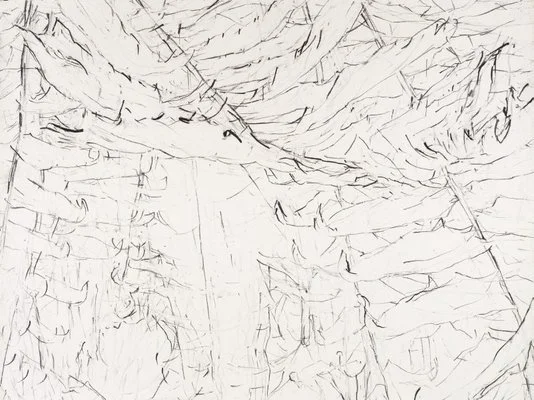 Detail of MDetail of Mary Tonkins, "Between Two Logs, Kalorama", 2013-14
