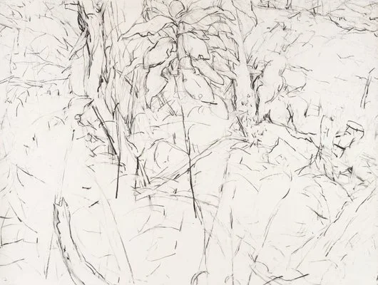 Detail of Mary Tonkins, "Between Two Logs, Kalorama", 2013-14