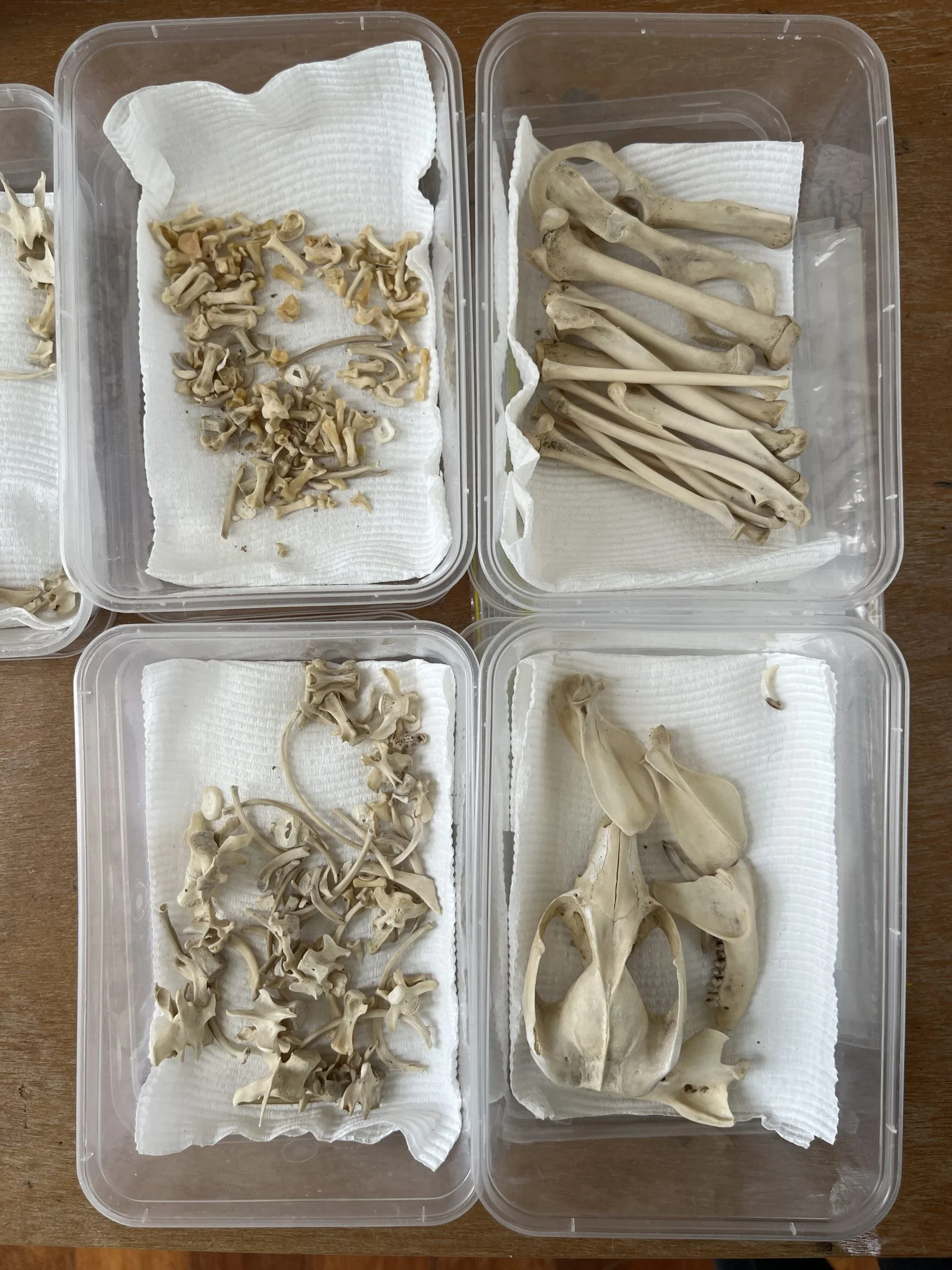 10_H-Pynor_Bundanon-Research-Residency_Photo-Helen-Pynor-scaled.webp