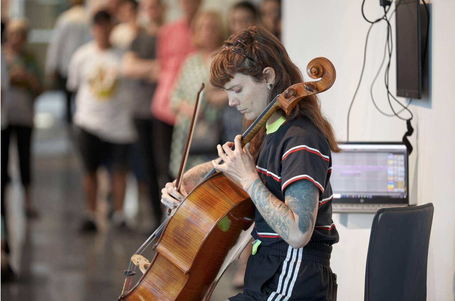 Notes From the Field, Murray Art Museum Albury, 2021 Photo Jeremy Weihrauch
