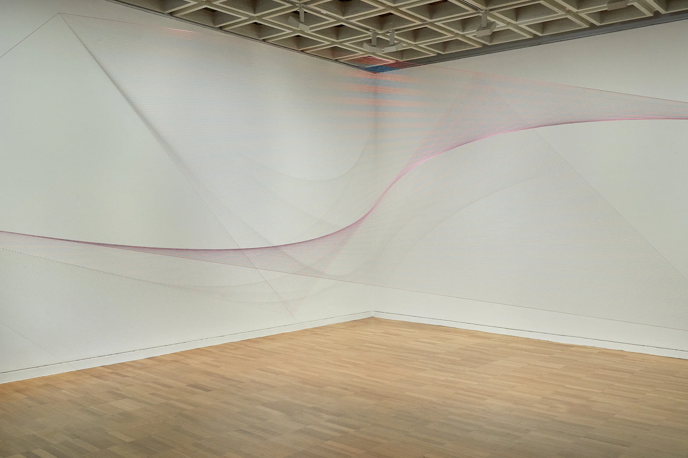 Sandra Selig, Infinite corner, (purple sine) 2024 © the artist