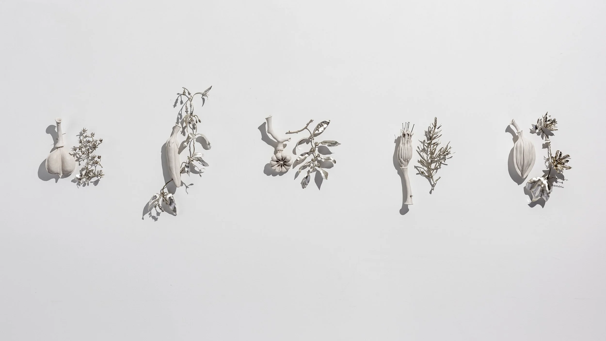 Florilegium, continued conversations - Bundanon, complete suite.jpg