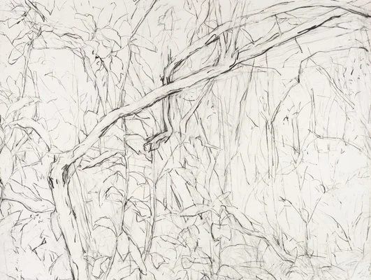 Detail of Mary Tonkins, "Between Two Logs, Kalorama", 2013-14