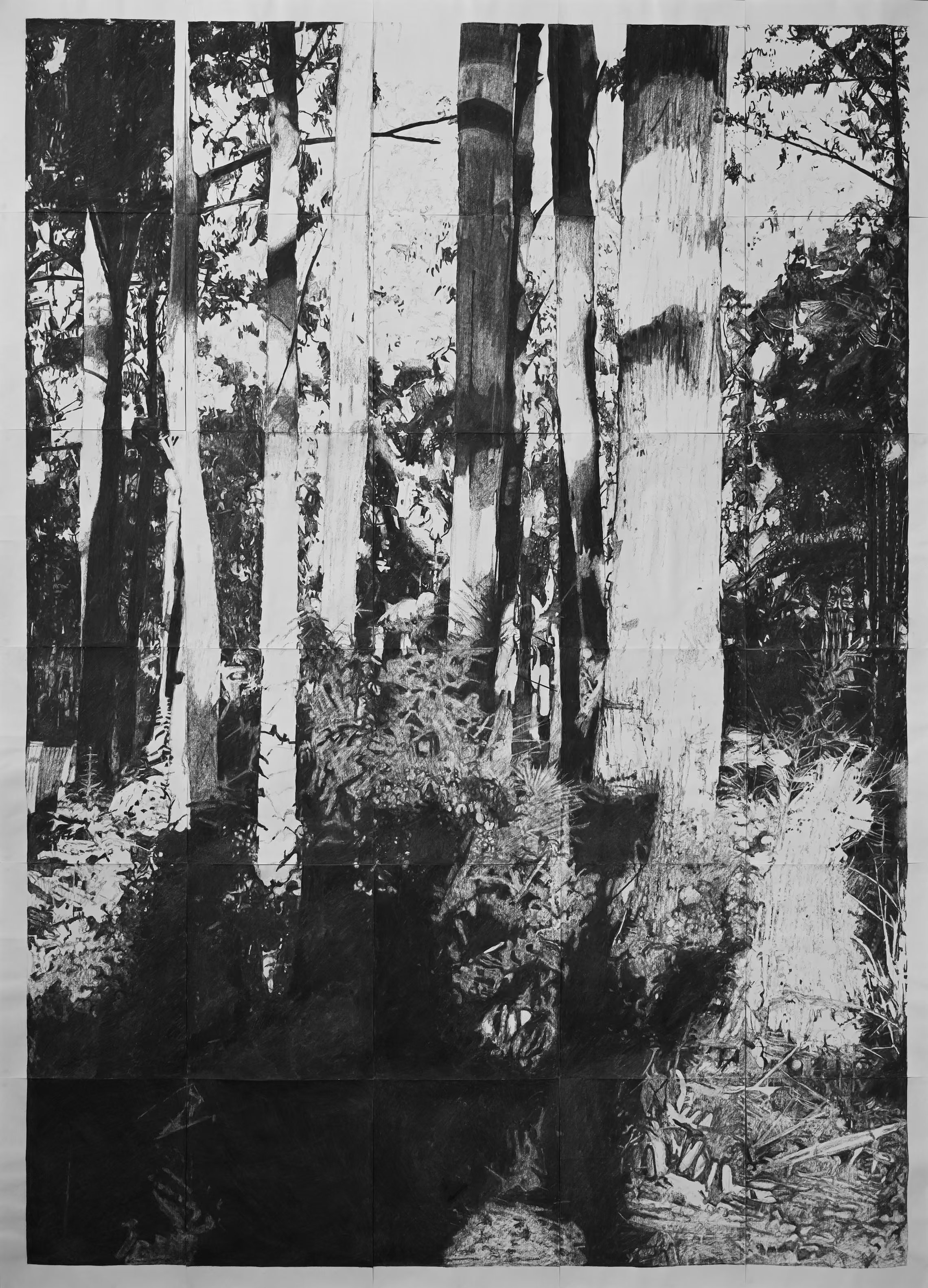 Brian Martin, Methexical Countryscape: Gadubanud #2, 2024, Charcoal on paper 
