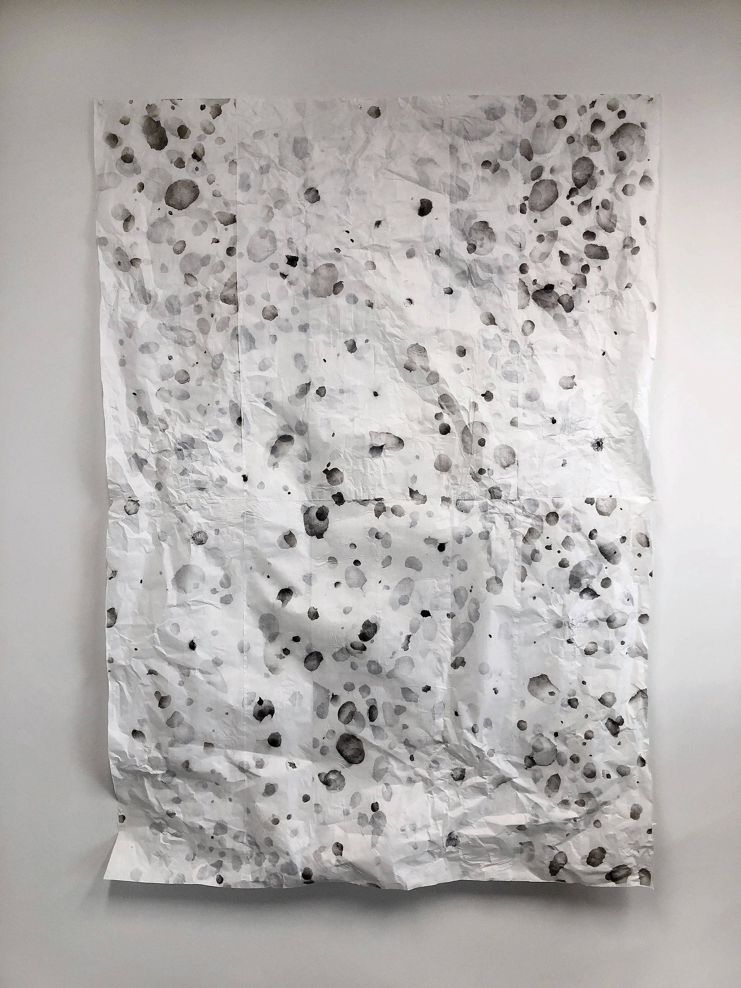 Sylvia Griffin, Falling Ash, 2022 - DDP23.jpeg