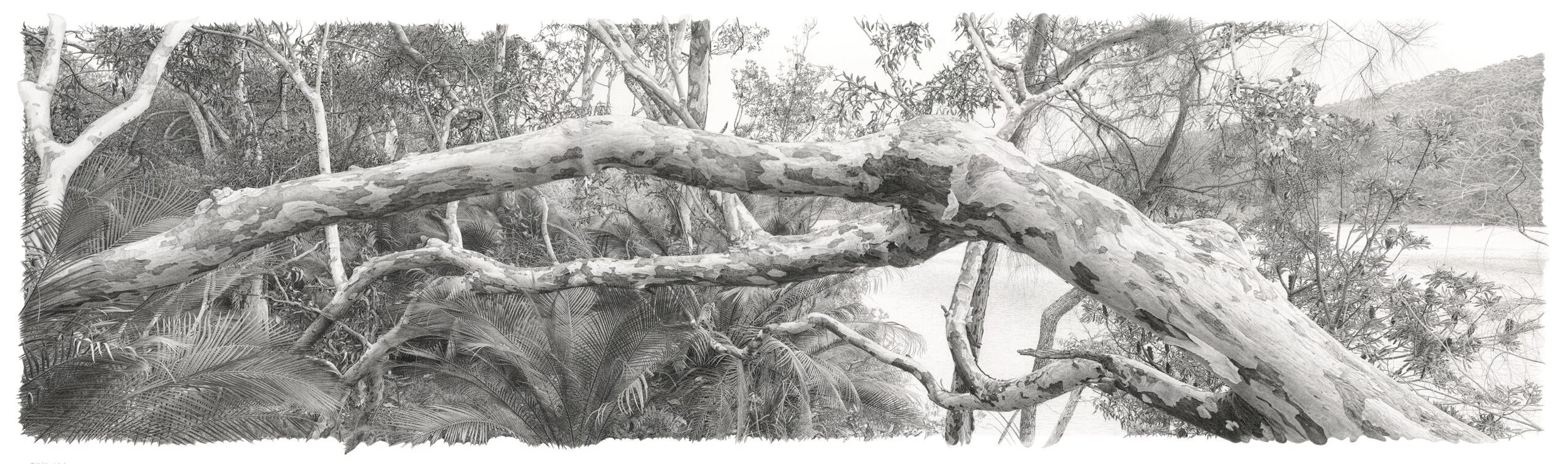 Eamonn Jackson, Aftermath, 2021-2023, graphite on paper, image courtesy and © the artist