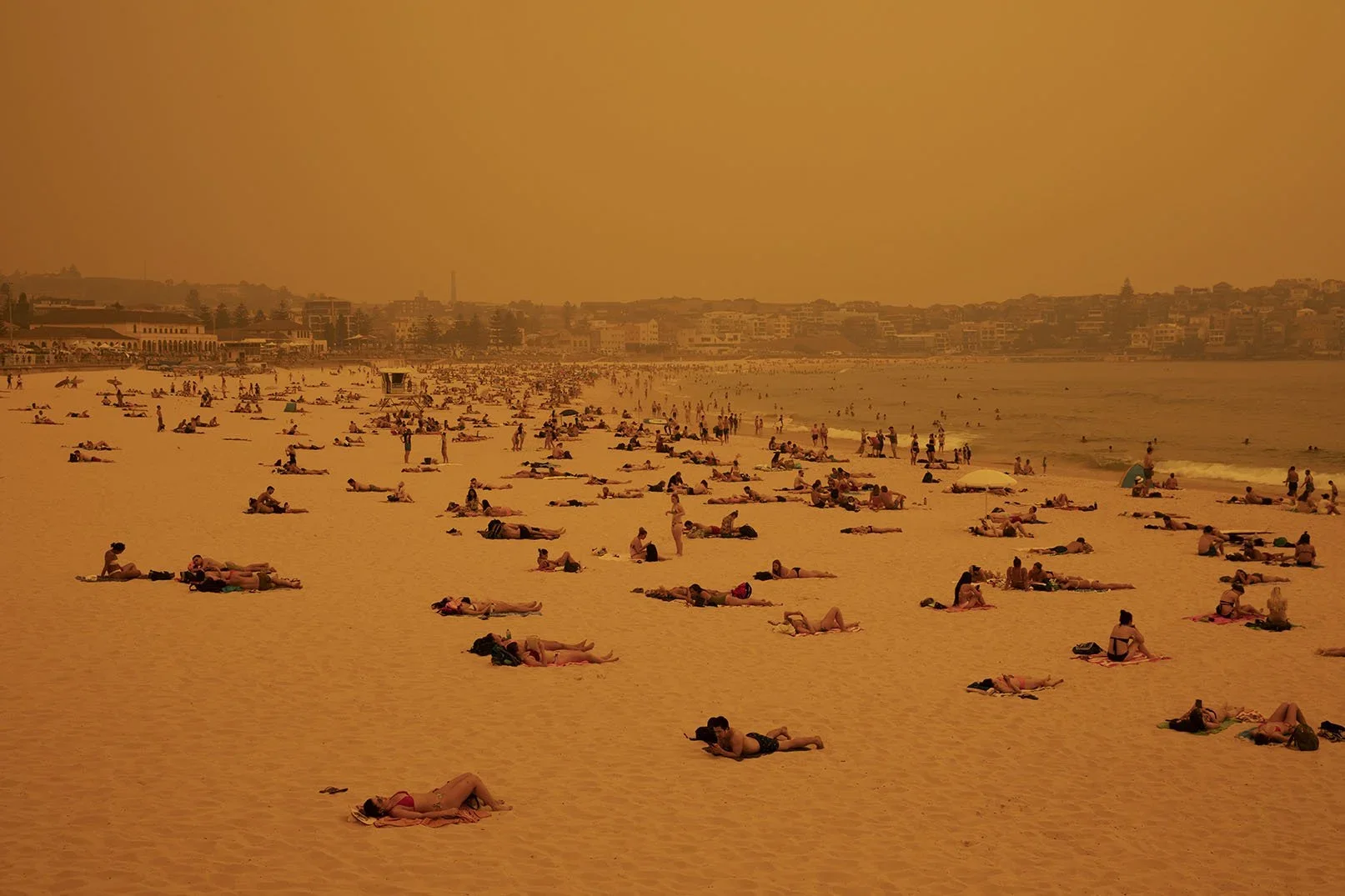 Paul Blackmore_Bondi_Black_Summer.webp