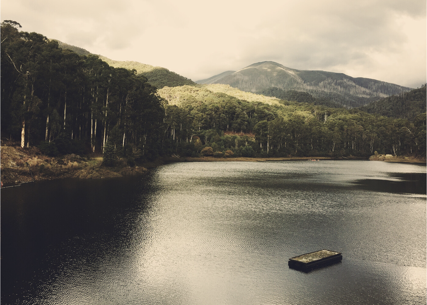Shannon Leah Collis,  Kiewa, 2018