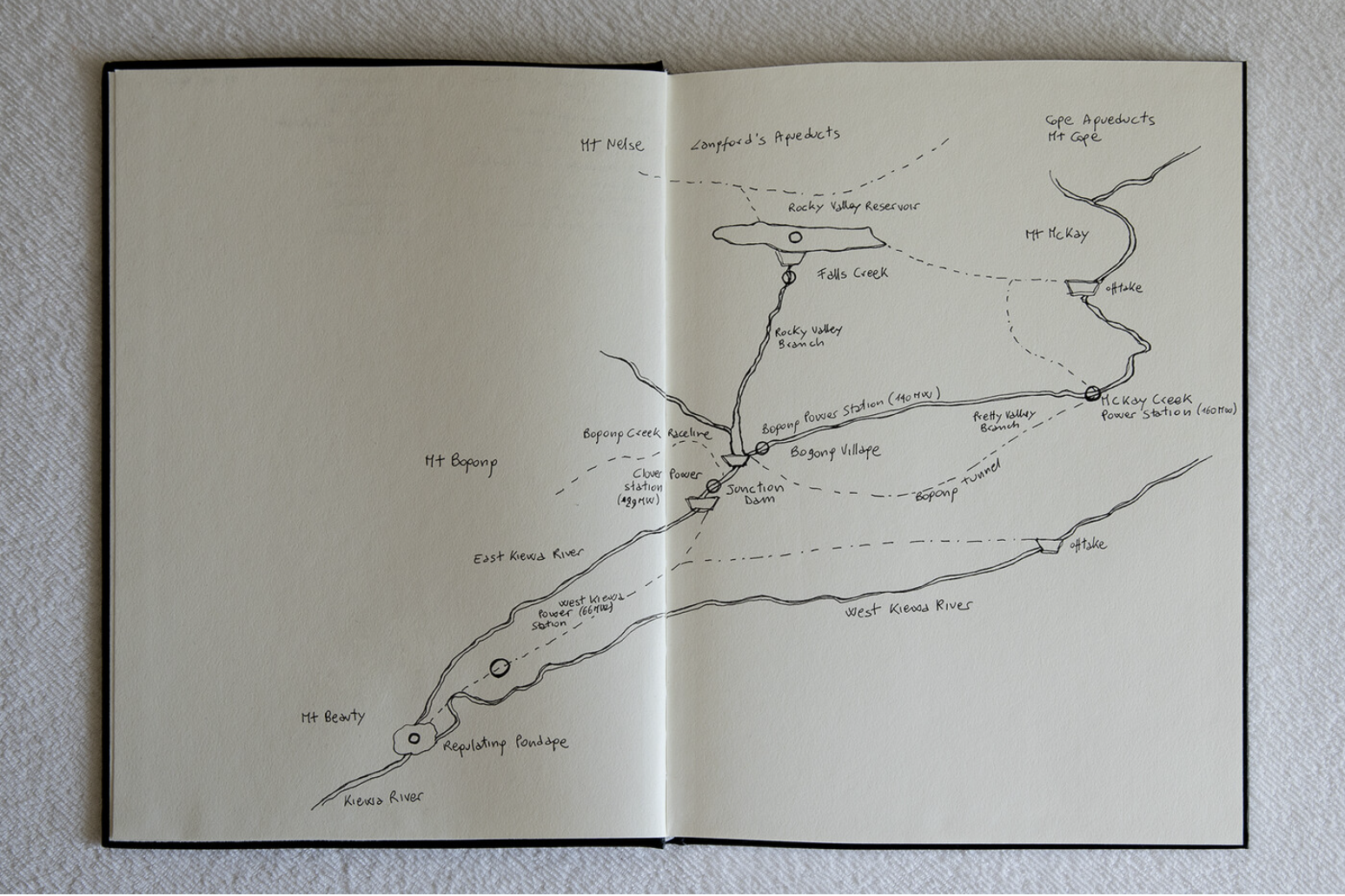 Daniella D'Arielli Field Drawing, 2019