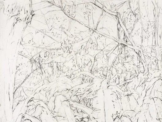 Detail of Mary Tonkins, "Between Two Logs, Kalorama", 2013-14