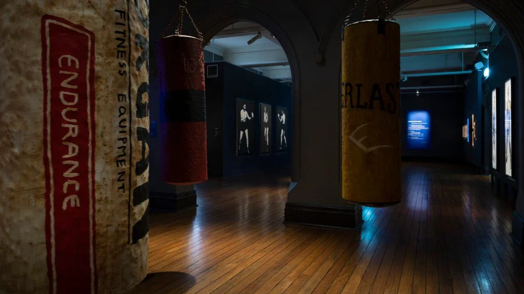 Shadow_Boxer_2021_MRAG_LARGE_U4A5783-scaled_1024x1024.webp