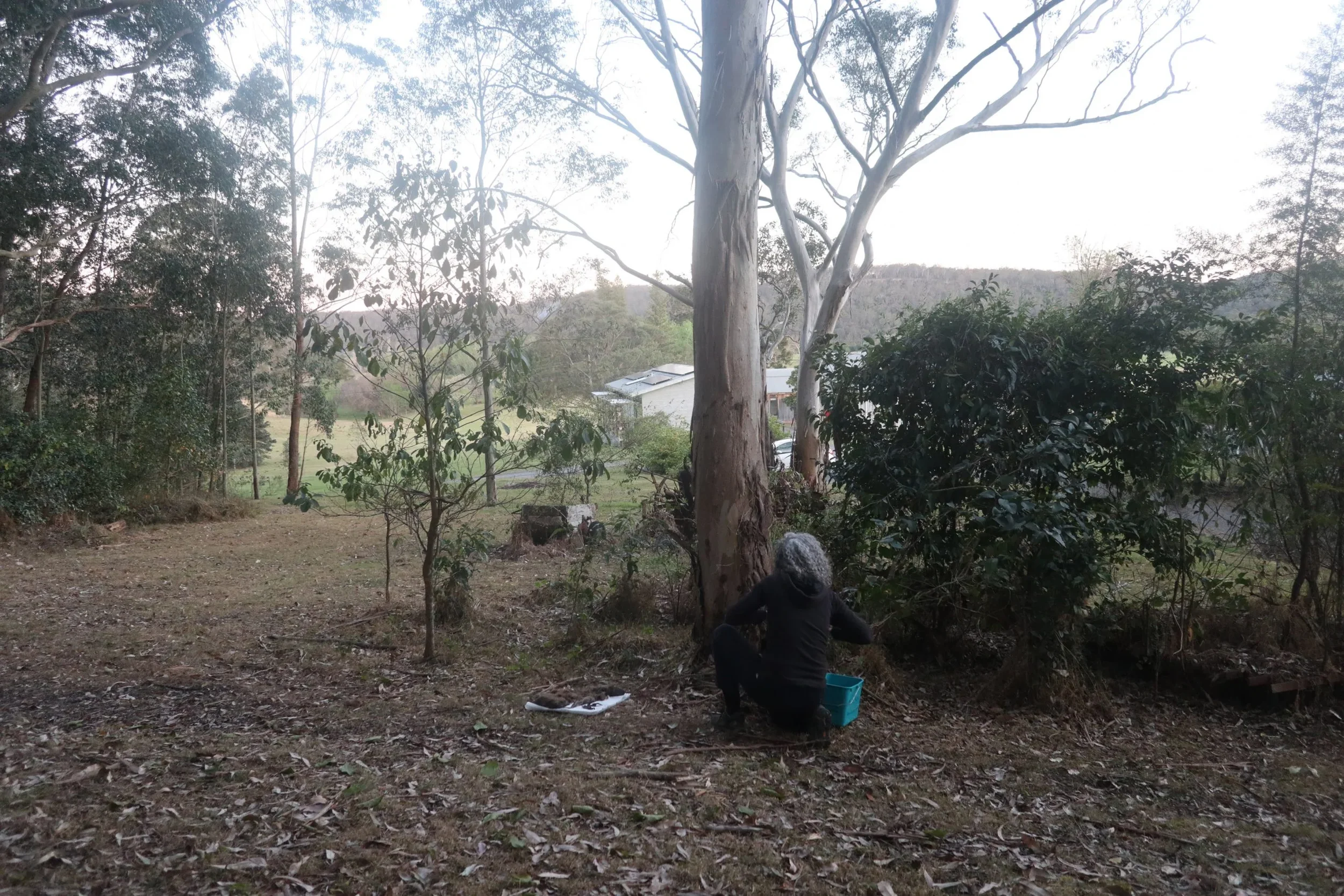 15_H-Pynor_Bundanon-Research-Residency_Photo-Sayoko-Wusabe-scaled.webp