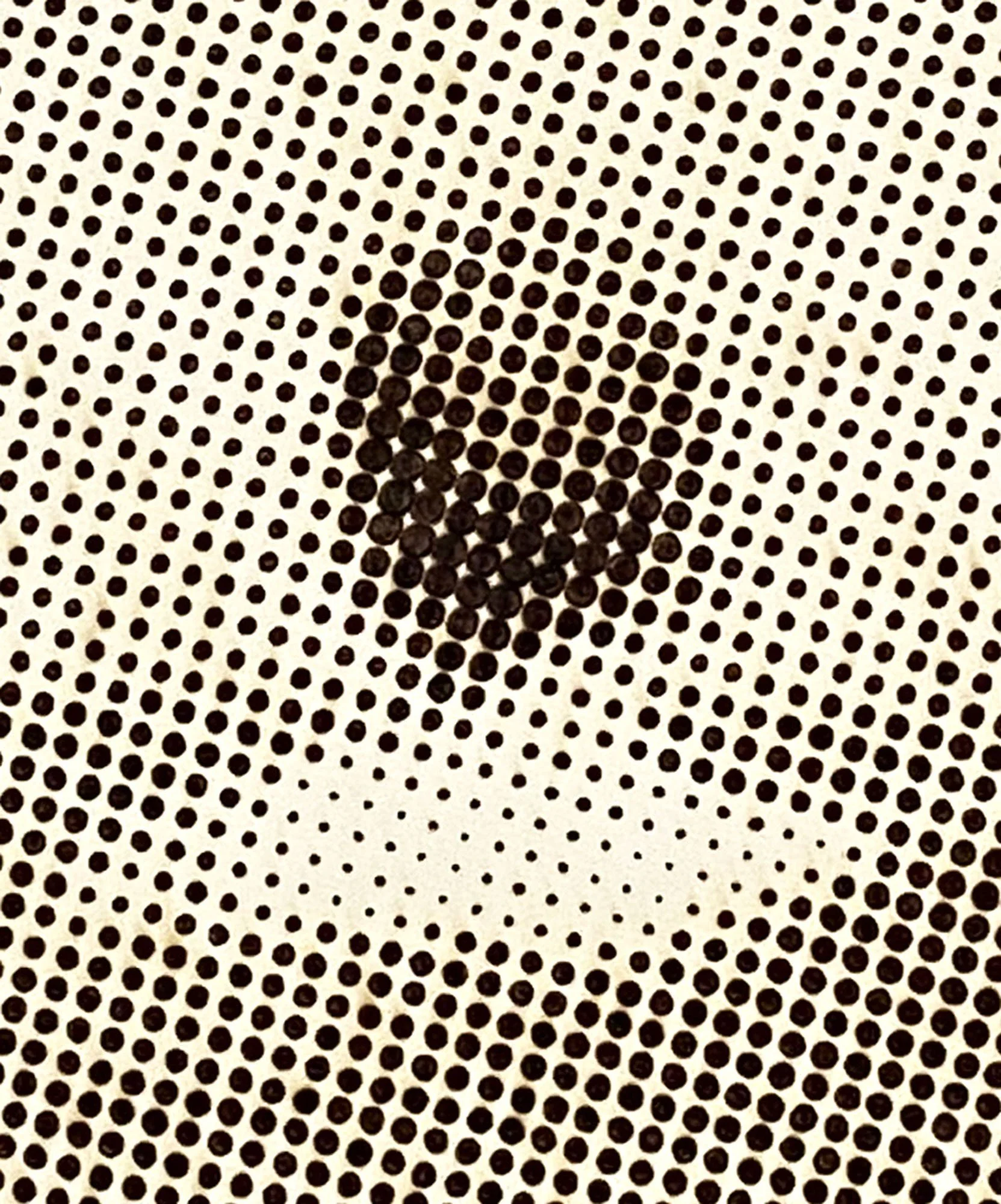 Kendal_Heyes_detail_DDP22.jpg