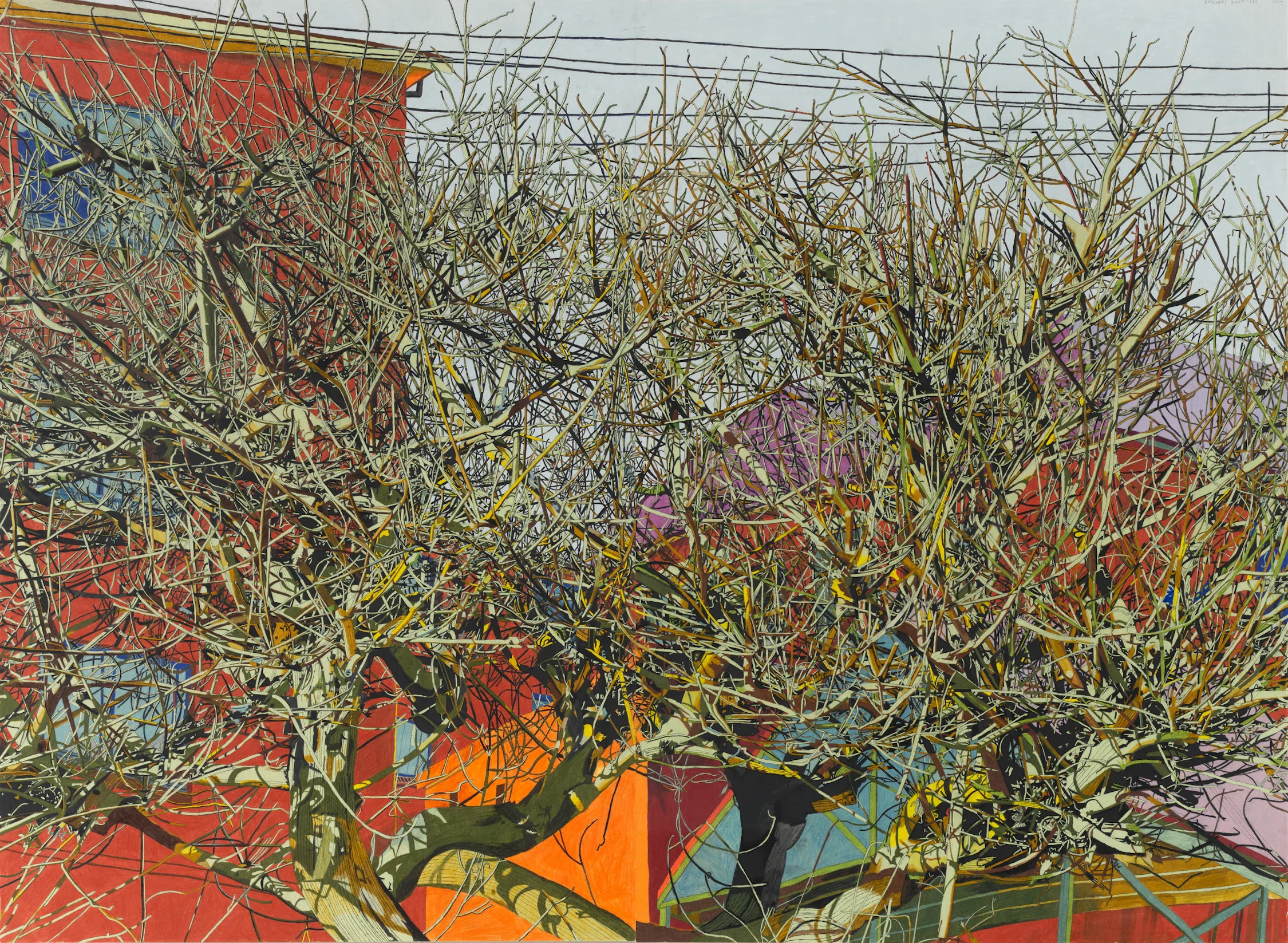 Rosemary Lee Shrub 2026 © the artist