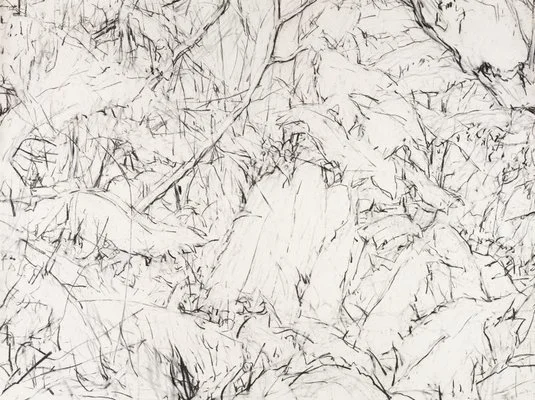 Detail of Mary Tonkins, "Between Two Logs, Kalorama", 2013-14