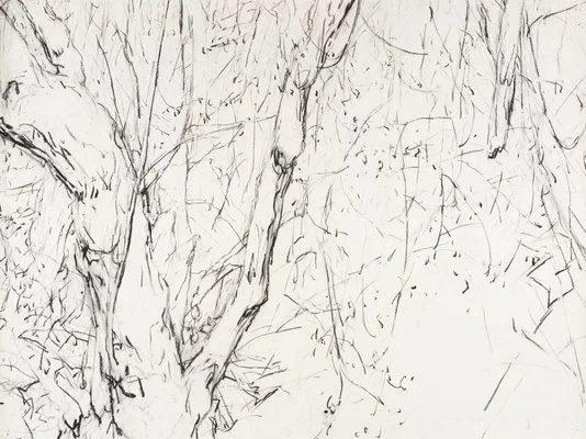 Detail of Mary Tonkins, "Between Two Logs, Kalorama", 2013-14