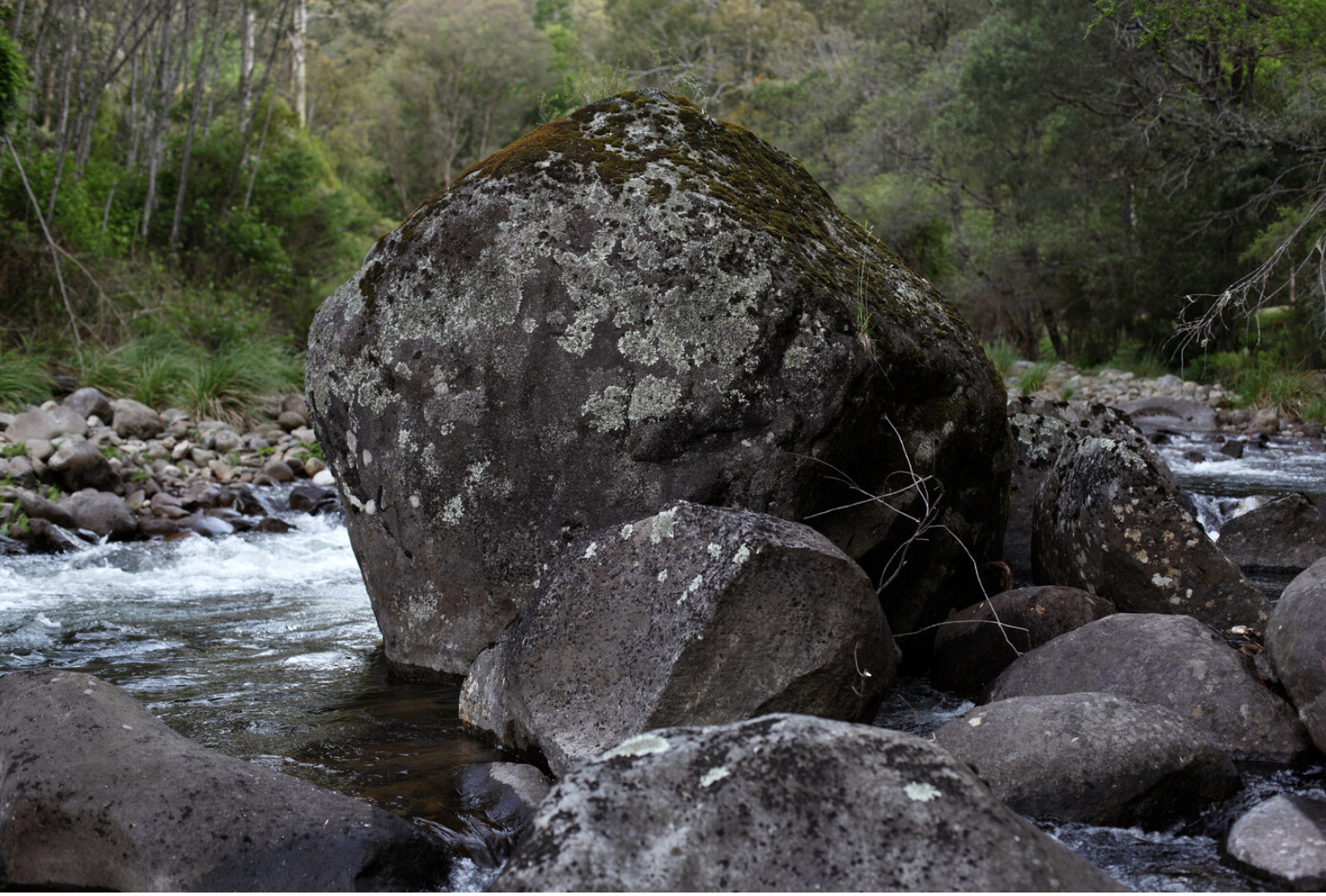 Felix Wilson, Boulder, Rocky Valley Creek, 2019