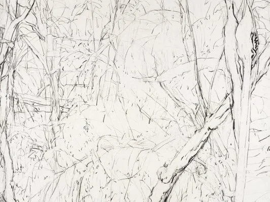 Detail of Mary Tonkins, "Between Two Logs, Kalorama", 2013-14