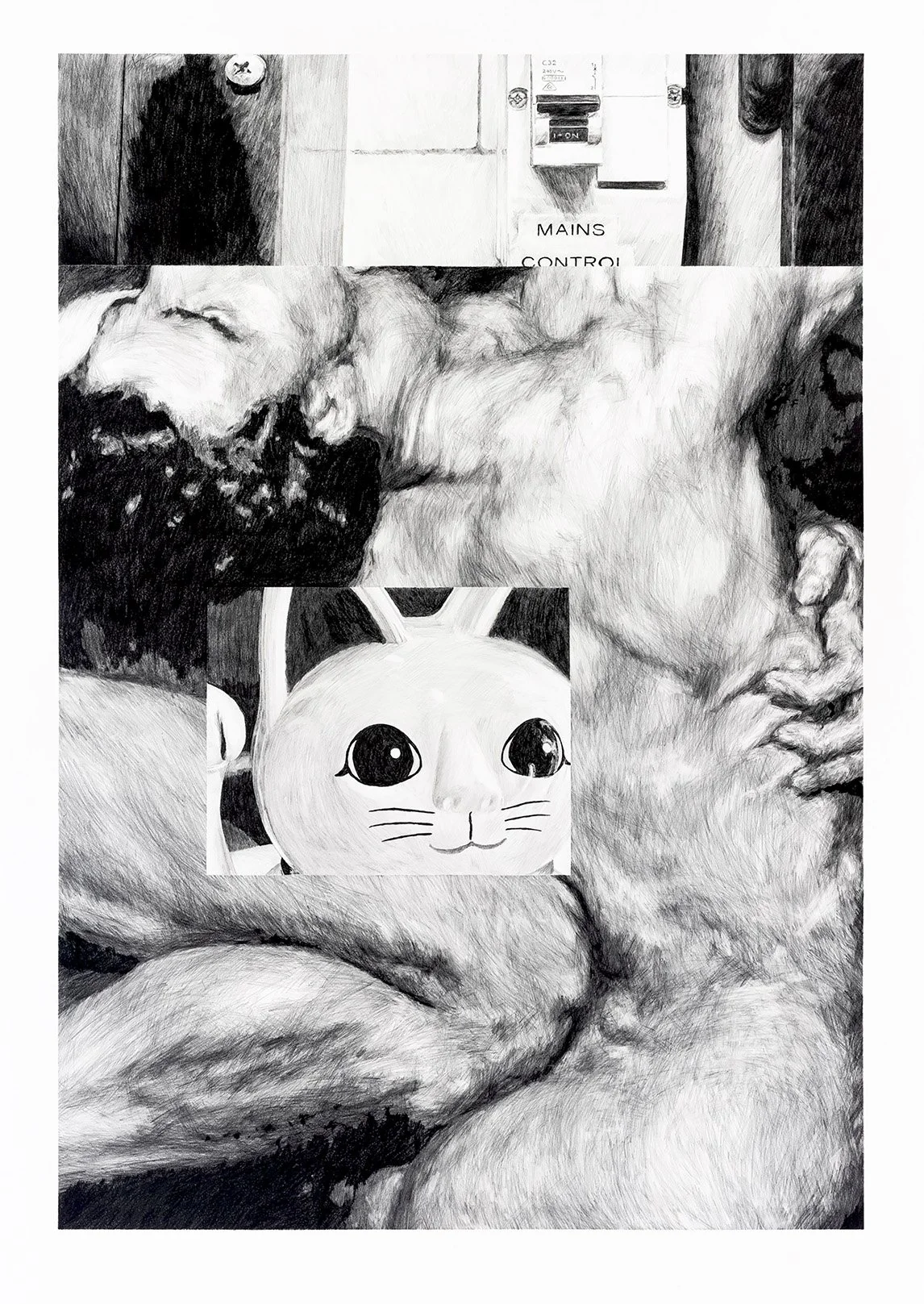 Aji_Badra_NekosNightWatch_Dobell2019.jpg