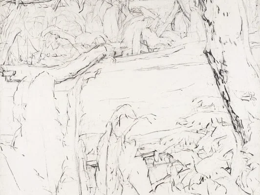 Detail of Mary Tonkins, "Between Two Logs, Kalorama", 2013-14