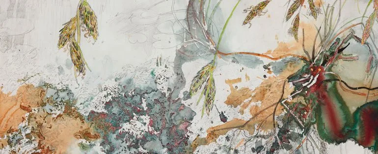 John Wolseley, A Clarence Galaxia in the Ancient Sphagnum Bogs – Skullbone Plains, Tasmania 2013 - watercolour, graphite on paper