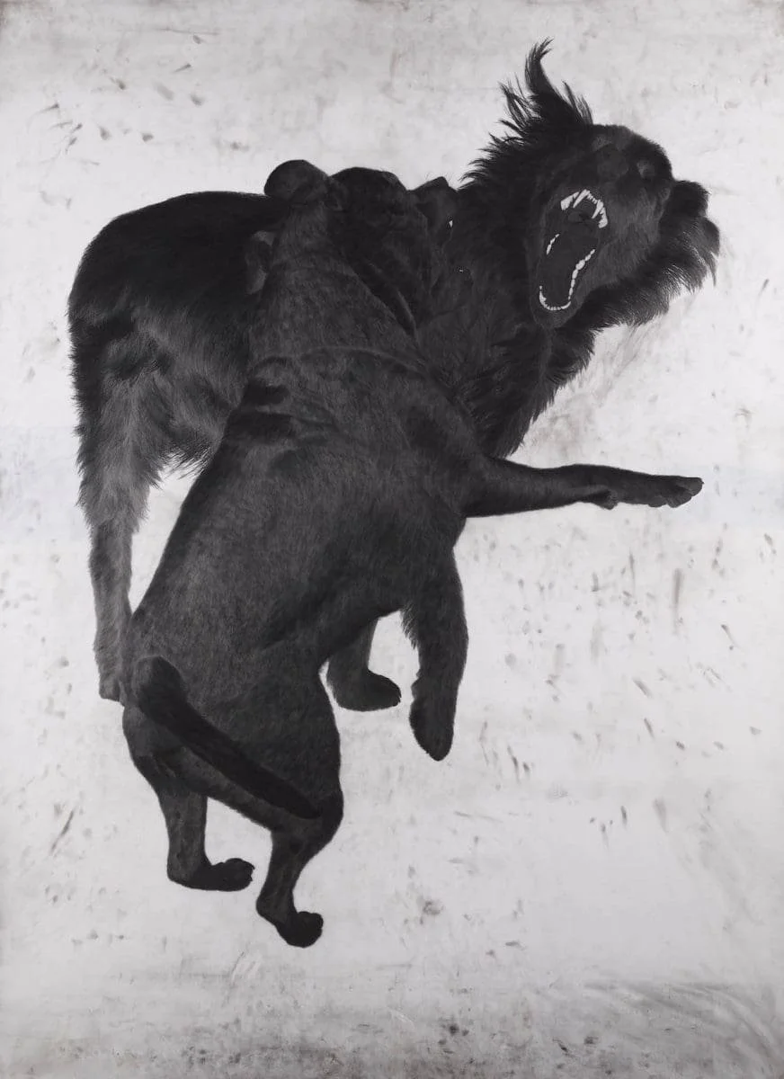 Lucienne Rickard, So it goes, 2017, Graphite on drawing film, photo: Beaver Galleries Canberra
