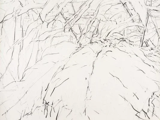 Detail of Mary Tonkins, "Between Two Logs, Kalorama", 2013-14