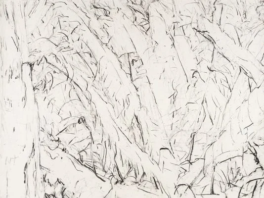 Detail of Mary Tonkins, "Between Two Logs, Kalorama", 2013-14