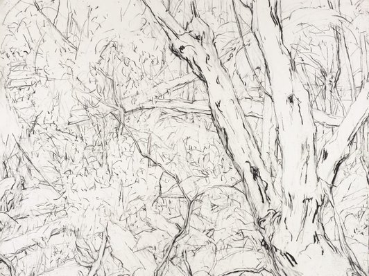 Detail of Mary Tonkins, "Between Two Logs, Kalorama", 2013-14