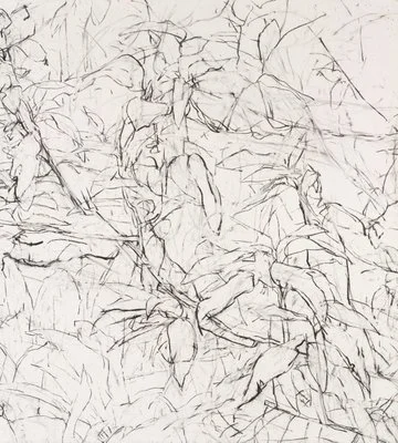 Detail of Mary Tonkins, "Between Two Logs, Kalorama", 2013-14