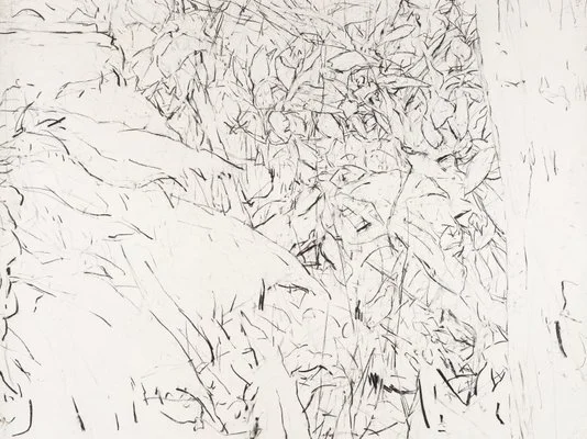 Detail of Mary Tonkins, "Between Two Logs, Kalorama", 2013-14