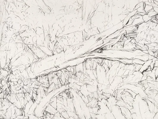 Detail of Mary Tonkins, "Between Two Logs, Kalorama", 2013-14