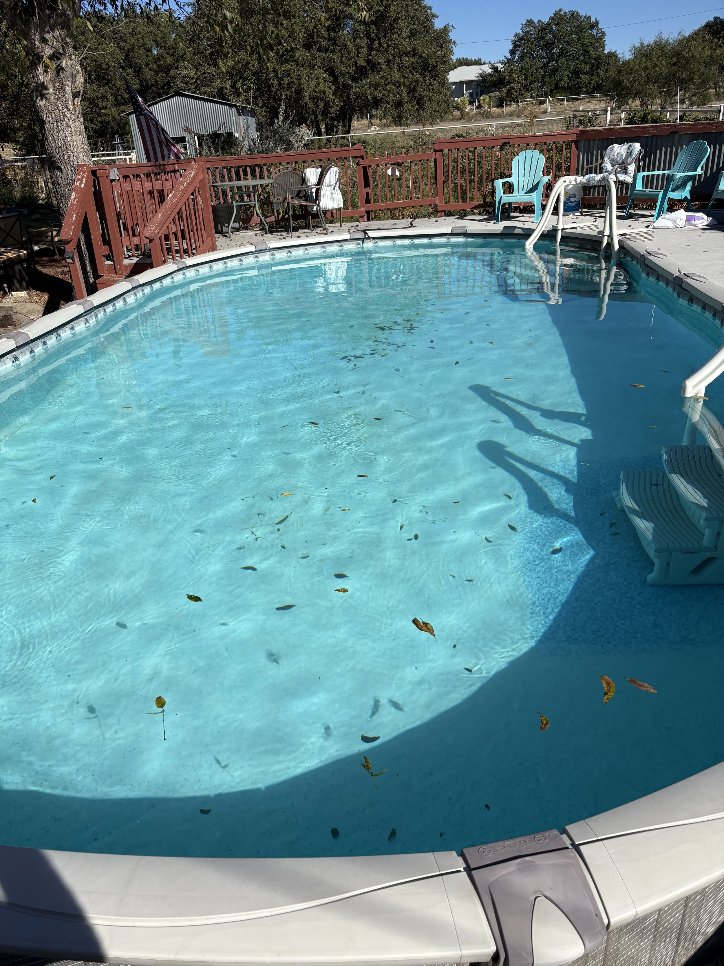 A swimming pool with a white border and clear blue water, surrounded by a wooden deck with outdoor chairs, a table, and fallen leaves in the water, outdoors on a sunny day.