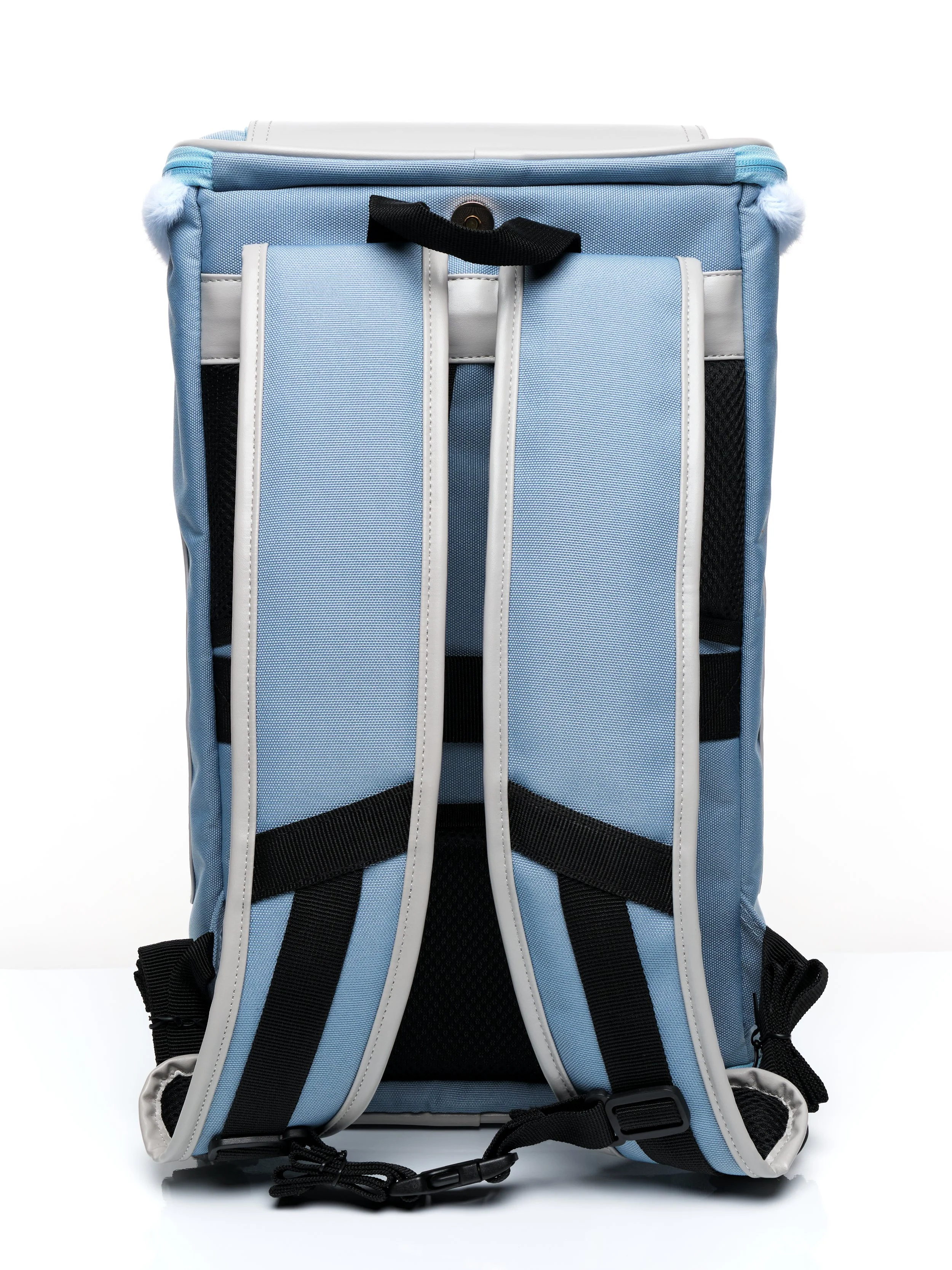 Rear view of the KibbleTime Sacre Bleu Backpack pet carrier.
