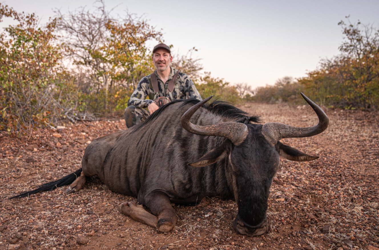 A man kneeling behind a large, dead wildebeest on a dirt path in a savanna landscape with sparse bushes and trees.