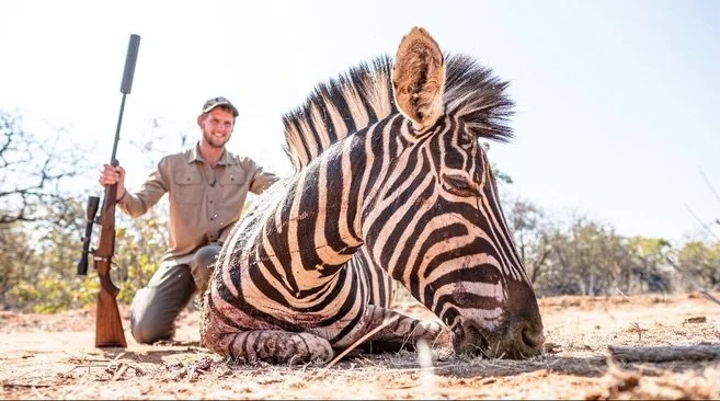 A pretty awesome animal to be your first African hunt experience. Smart, fast and aggressive zebras are, make them a difficult chase.