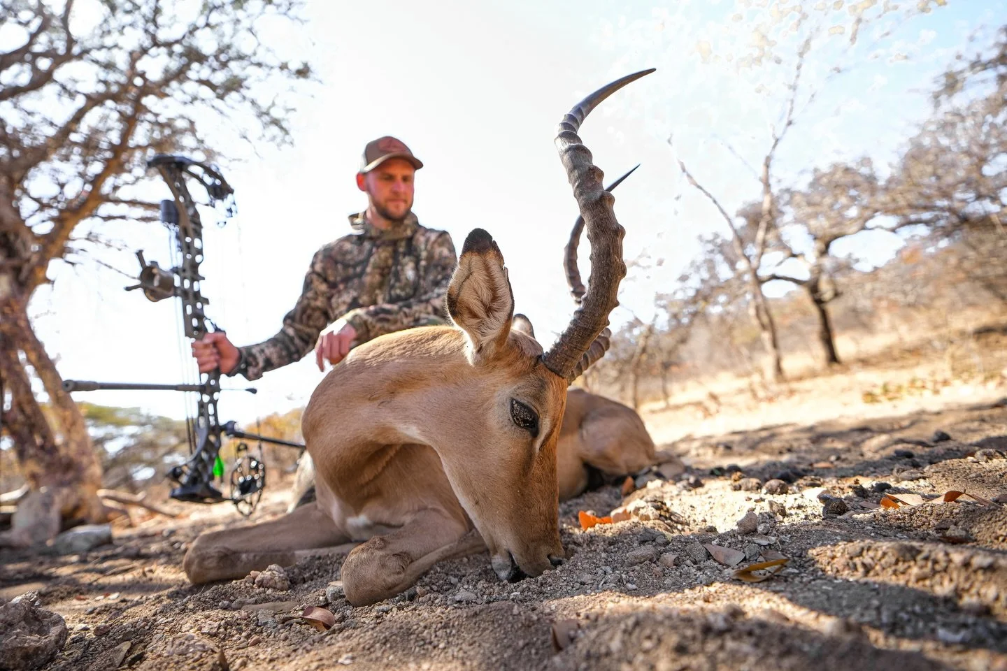 Ever hunted impala from a tree with a bow? If not you gotta try it asap, it&rsquo;s such an amazing hunt. They are fast, spooked and able to dodge your arrow like no other. 

#impala #bowhunting #archery #bows