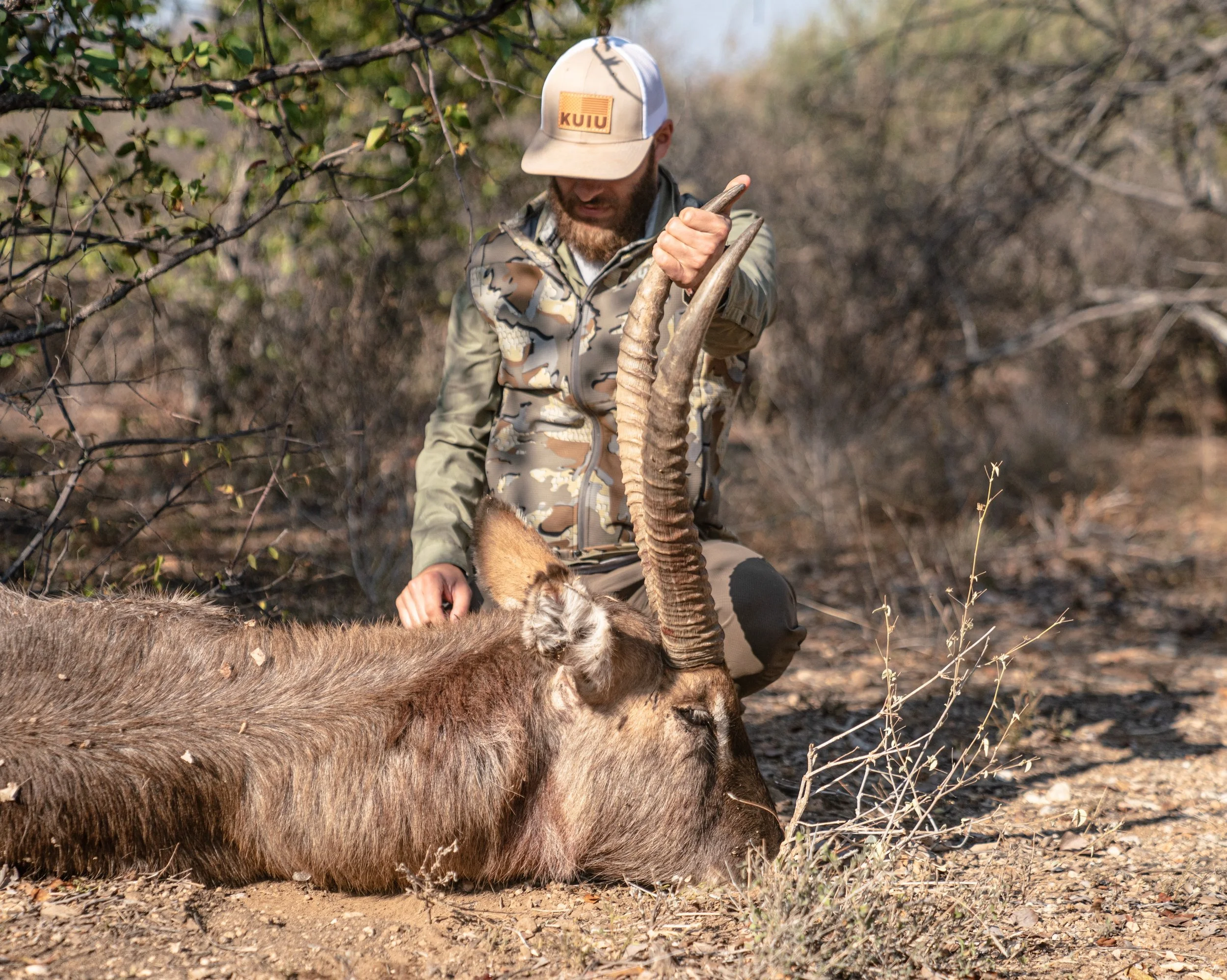 Despite their name&hellip; the waterbuck, they live in the savanna woodlands and grasslands, relying on permanent water sources for both drinking and as a safe haven to escape. 

Absolutely beautiful animals and very difficult to hunt. 

#waterbuck #