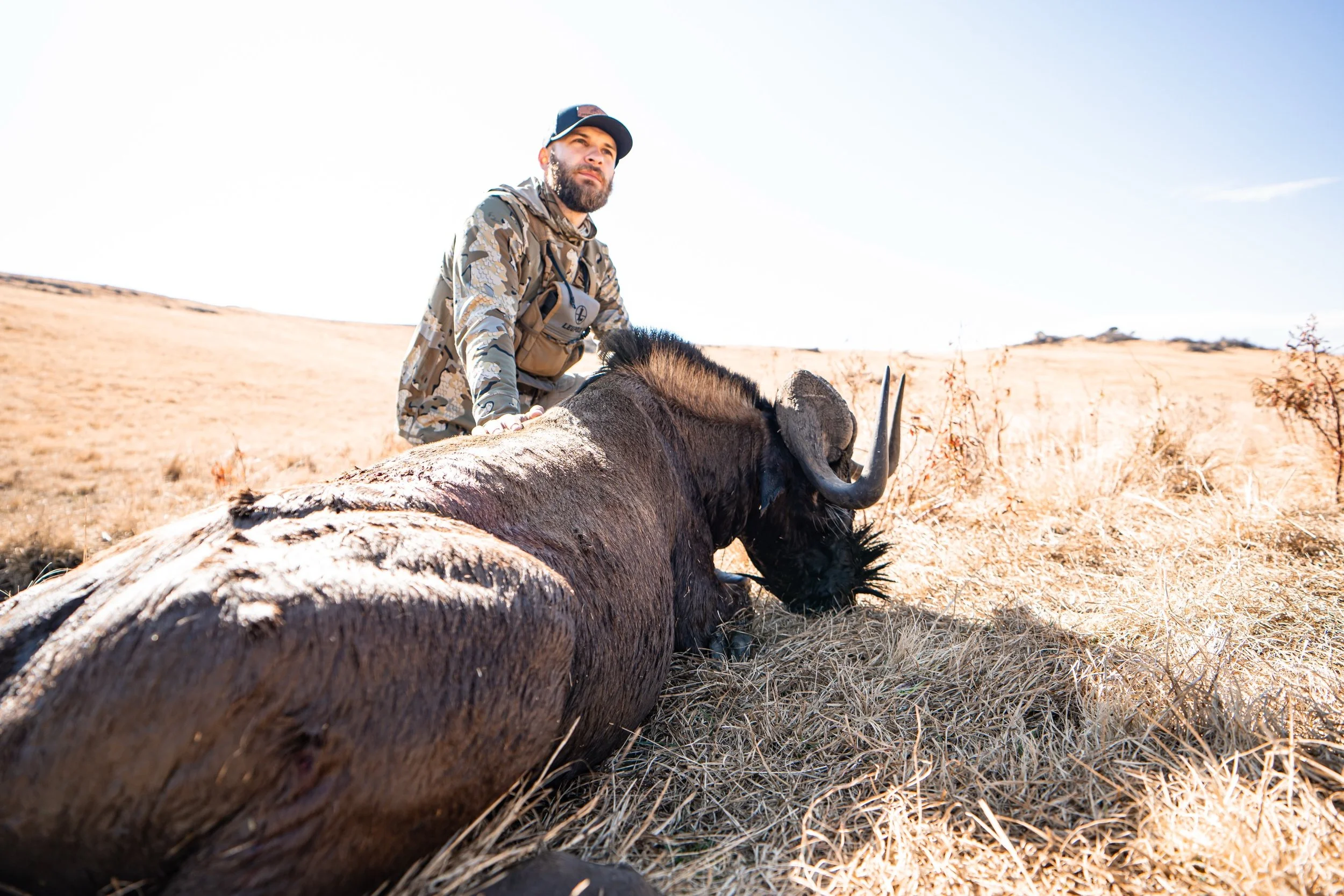Hunting these beauties in the open grass lands just feels so raw and natural. Black wildebeest are a true challenge out here. 

#grasslands #safarihunting #gemini #bowhunting #&aacute;frica