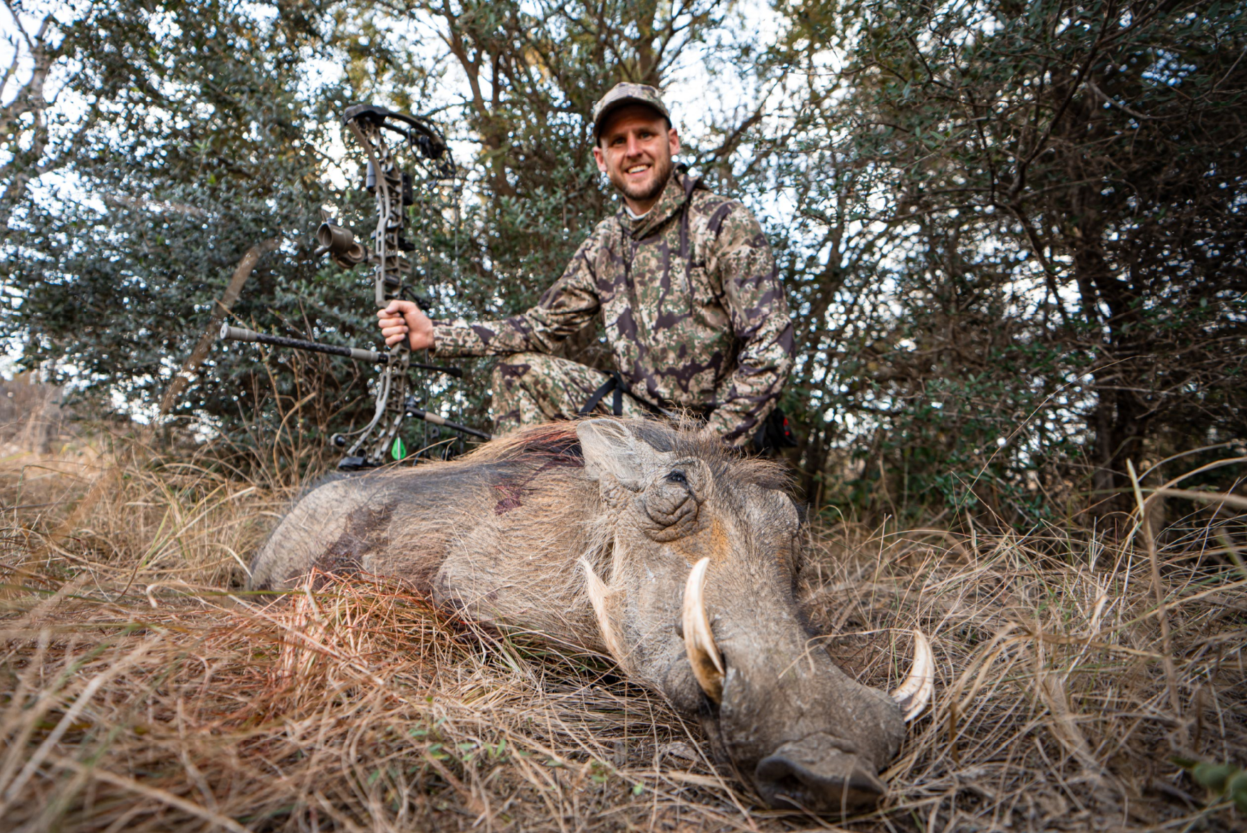 A man in camouflage clothing kneels behind a large, slain boar in a wooded area, holding a bow and smiling.