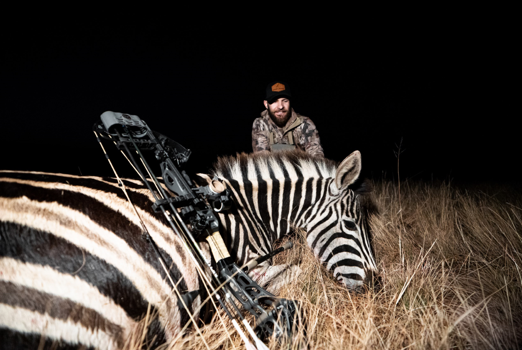 A man in camouflage clothing and a black cap is kneeling behind a zebra in a grassy field at night, with a bow resting on the zebra's back.