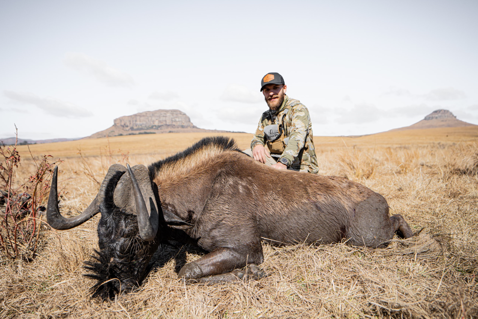A man in camouflage clothing kneels beside a large, dead wild boar with prominent tusks lying on dry grass in an open landscape with plateaus in the background.