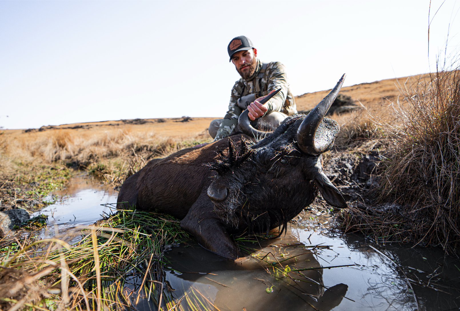 A man in camouflage clothing and a baseball cap kneels on the ground next to a large dead buffalo with prominent horns, beside a small water patch in a dry grassland landscape.