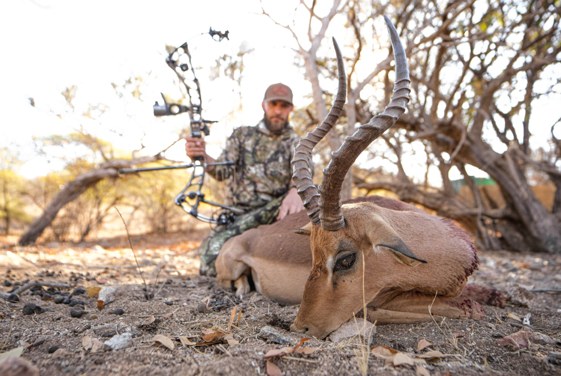 Hunters kneeling next to a recently shot impala with large, curved horns, in a dry, wooded area.