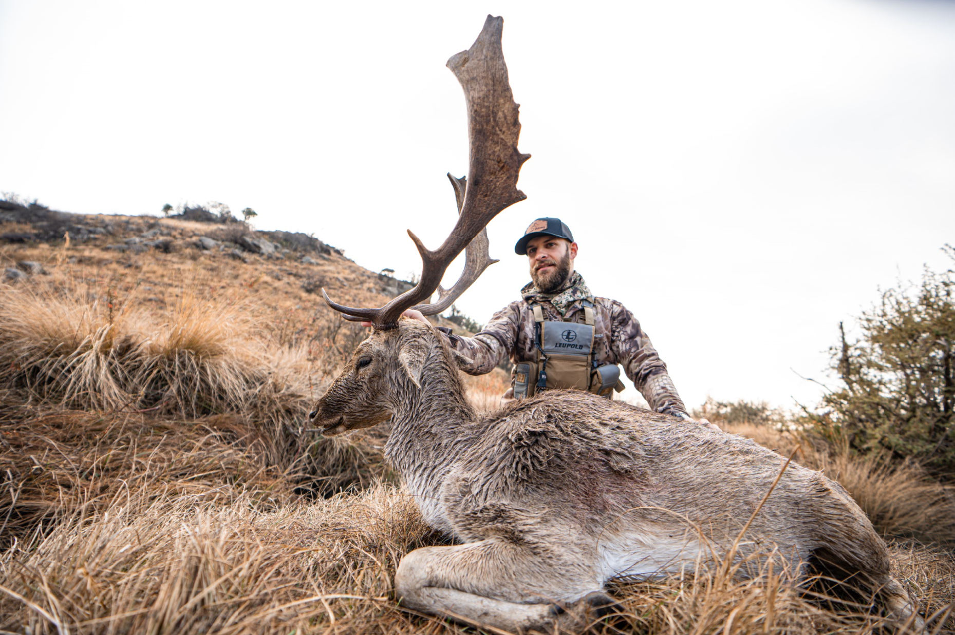 A hunter with a beard in camouflage and a cap kneels next to a large deceased elk with impressive antlers in a grassy, hilly landscape.
