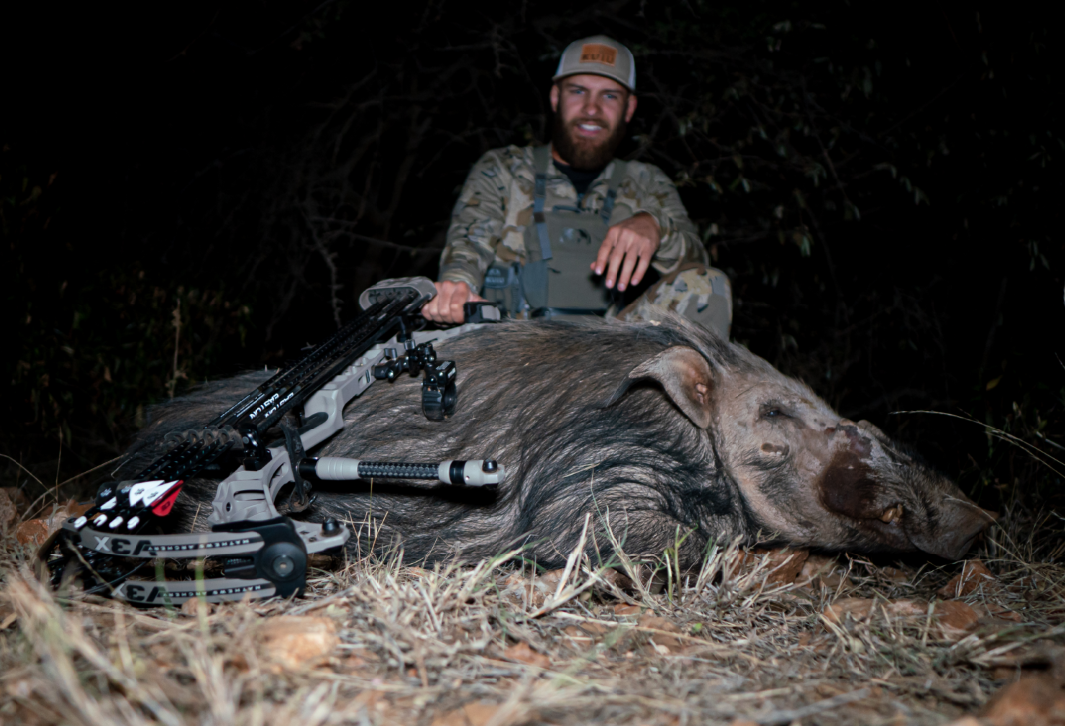 A man in camouflage clothing and a cap kneeling behind a dead wild boar in a forest at night, with a bow and arrow lying on the ground in front of him.
