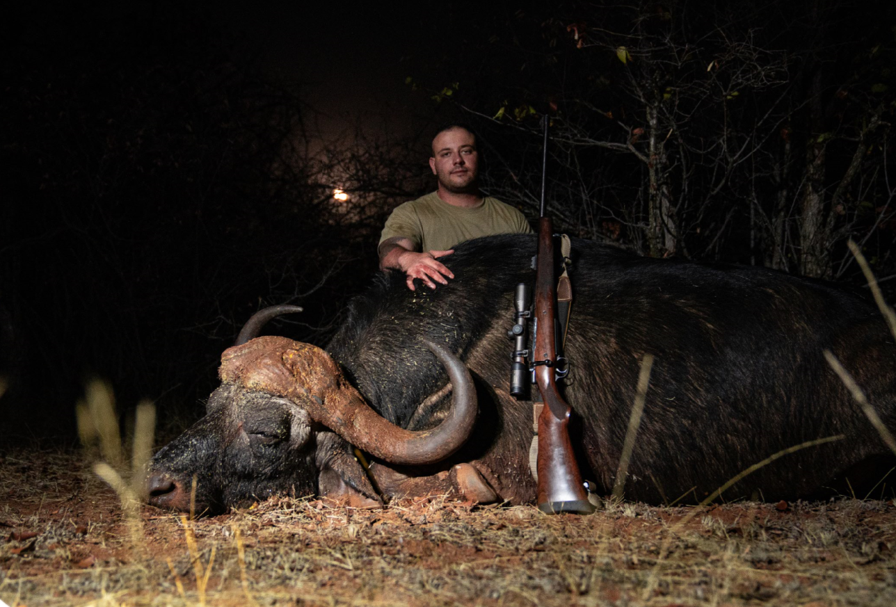 A man in a green shirt sits behind a large, dead tusked buffalo on the ground at night, with a rifle leaning against the animal's side.