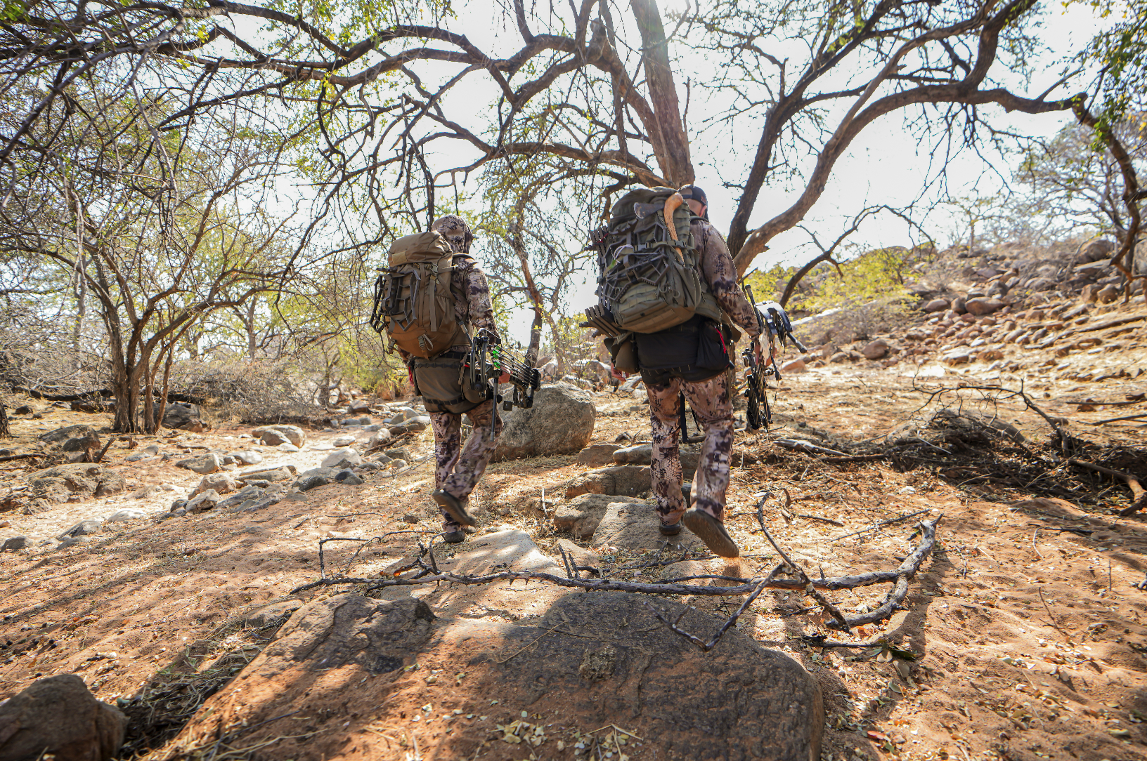 Two hikers with backpacks and gear walking through a dry, rocky, and leafless area under a large tree on a sunny day.